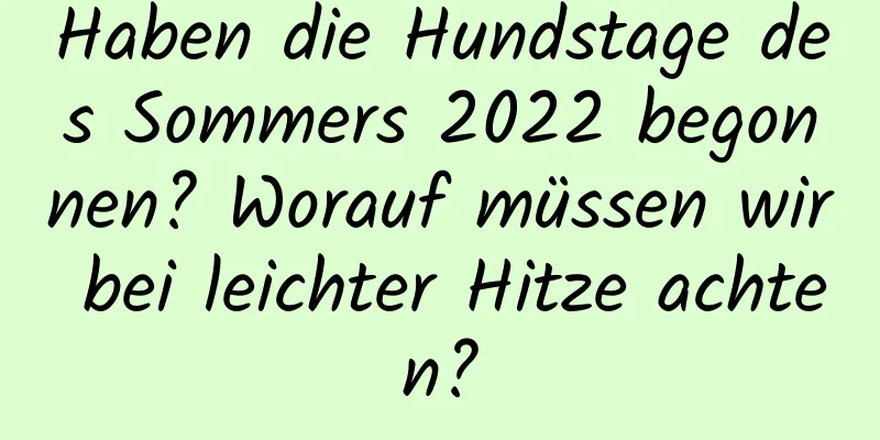 Haben die Hundstage des Sommers 2022 begonnen? Worauf müssen wir bei leichter Hitze achten?