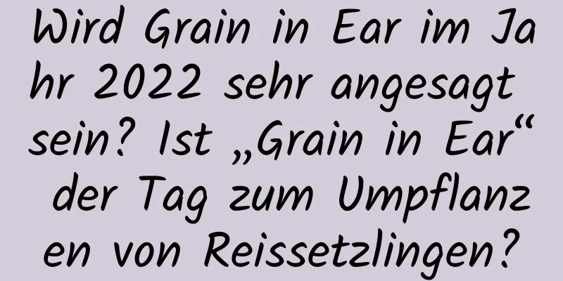 Wird Grain in Ear im Jahr 2022 sehr angesagt sein? Ist „Grain in Ear“ der Tag zum Umpflanzen von Reissetzlingen?