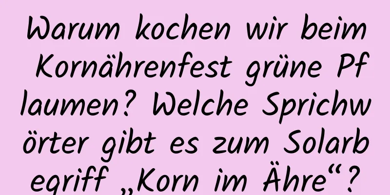 Warum kochen wir beim Kornährenfest grüne Pflaumen? Welche Sprichwörter gibt es zum Solarbegriff „Korn im Ähre“?