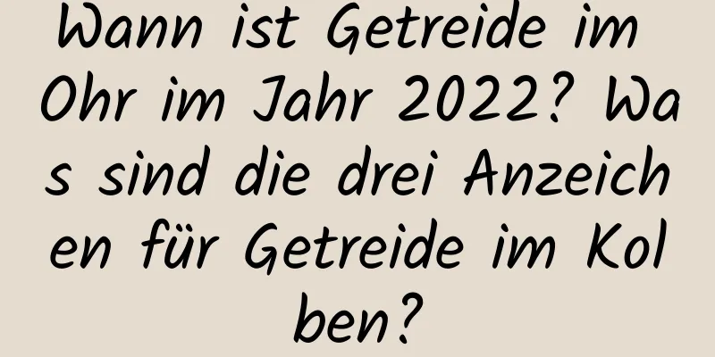 Wann ist Getreide im Ohr im Jahr 2022? Was sind die drei Anzeichen für Getreide im Kolben?