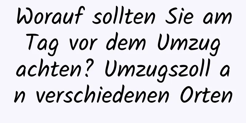 Worauf sollten Sie am Tag vor dem Umzug achten? Umzugszoll an verschiedenen Orten