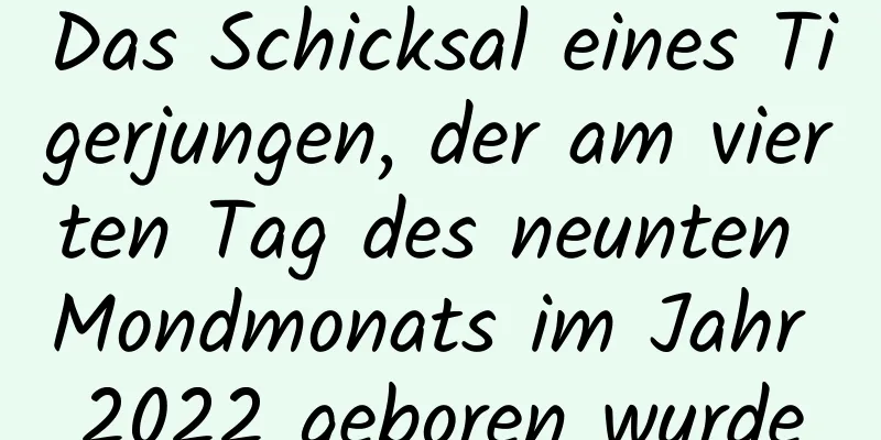 Das Schicksal eines Tigerjungen, der am vierten Tag des neunten Mondmonats im Jahr 2022 geboren wurde