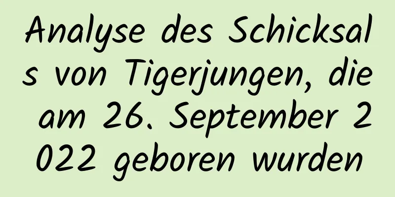 Analyse des Schicksals von Tigerjungen, die am 26. September 2022 geboren wurden