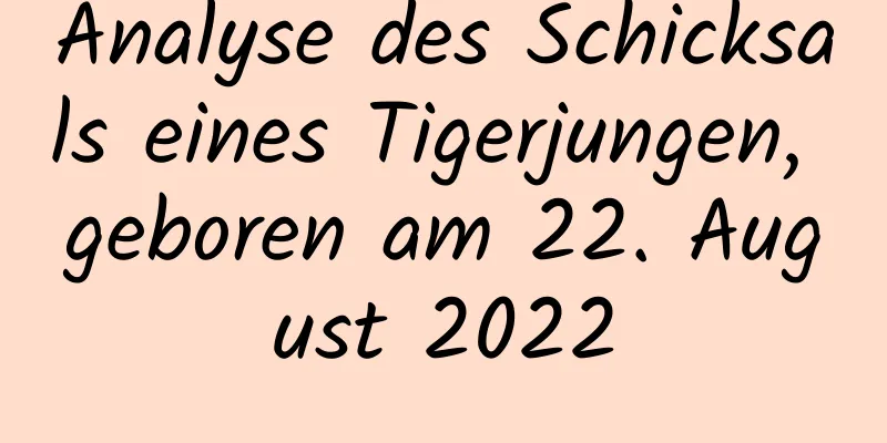 Analyse des Schicksals eines Tigerjungen, geboren am 22. August 2022