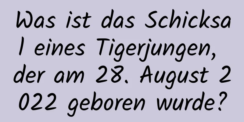 Was ist das Schicksal eines Tigerjungen, der am 28. August 2022 geboren wurde?