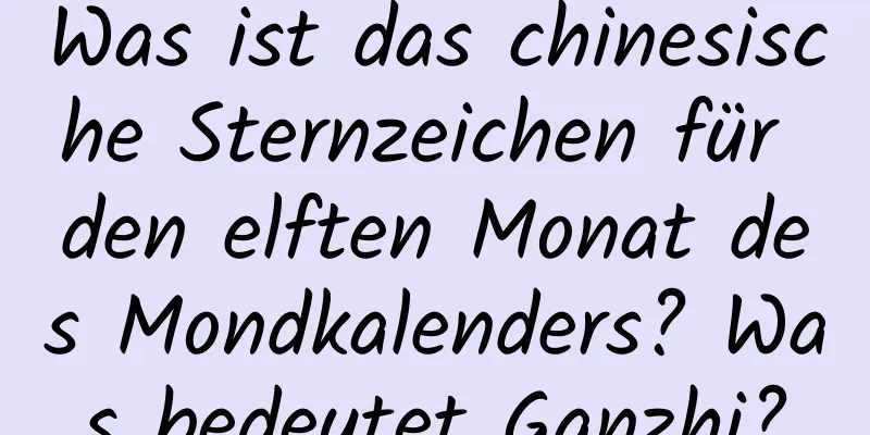 Was ist das chinesische Sternzeichen für den elften Monat des Mondkalenders? Was bedeutet Ganzhi?