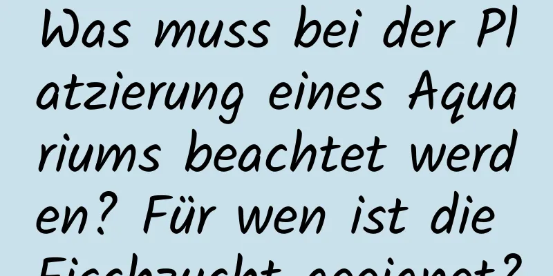 Was muss bei der Platzierung eines Aquariums beachtet werden? Für wen ist die Fischzucht geeignet?