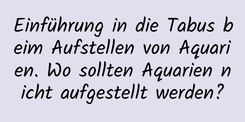 Einführung in die Tabus beim Aufstellen von Aquarien. Wo sollten Aquarien nicht aufgestellt werden?