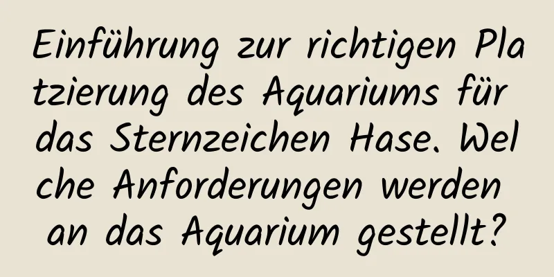 Einführung zur richtigen Platzierung des Aquariums für das Sternzeichen Hase. Welche Anforderungen werden an das Aquarium gestellt?