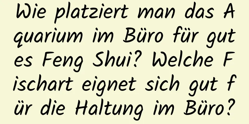 Wie platziert man das Aquarium im Büro für gutes Feng Shui? Welche Fischart eignet sich gut für die Haltung im Büro?