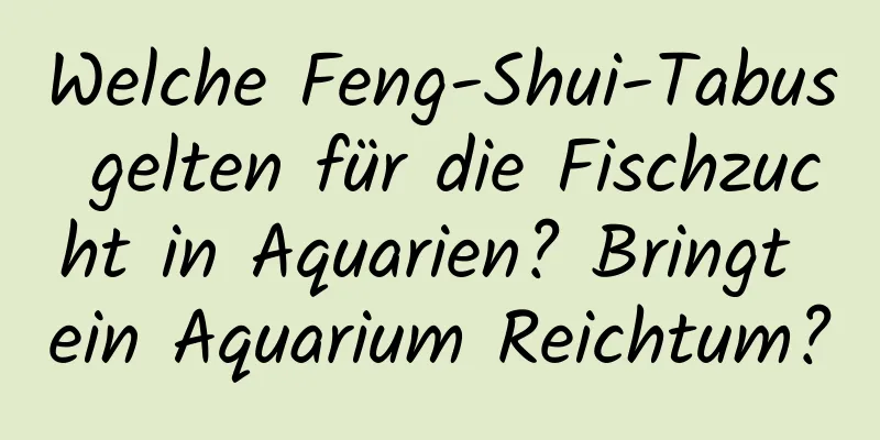 Welche Feng-Shui-Tabus gelten für die Fischzucht in Aquarien? Bringt ein Aquarium Reichtum?