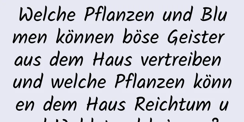 Welche Pflanzen und Blumen können böse Geister aus dem Haus vertreiben und welche Pflanzen können dem Haus Reichtum und Wohlstand bringen?