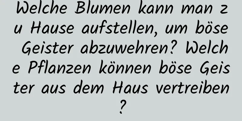 Welche Blumen kann man zu Hause aufstellen, um böse Geister abzuwehren? Welche Pflanzen können böse Geister aus dem Haus vertreiben?