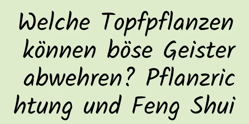 Welche Topfpflanzen können böse Geister abwehren? Pflanzrichtung und Feng Shui