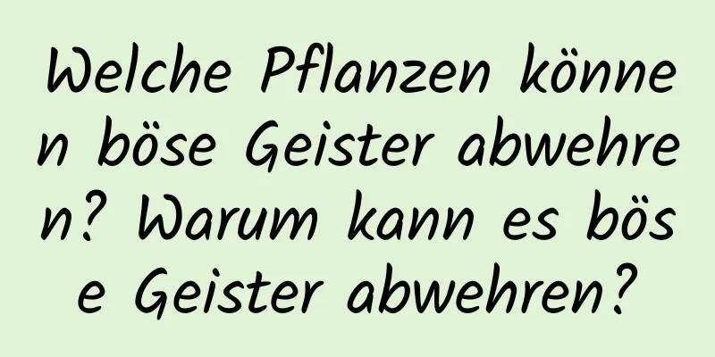 Welche Pflanzen können böse Geister abwehren? Warum kann es böse Geister abwehren?