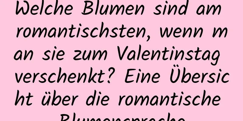 Welche Blumen sind am romantischsten, wenn man sie zum Valentinstag verschenkt? Eine Übersicht über die romantische Blumensprache