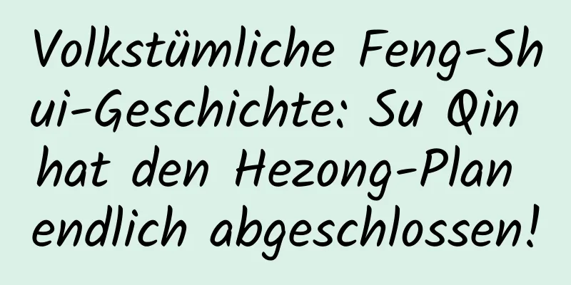 Volkstümliche Feng-Shui-Geschichte: Su Qin hat den Hezong-Plan endlich abgeschlossen!