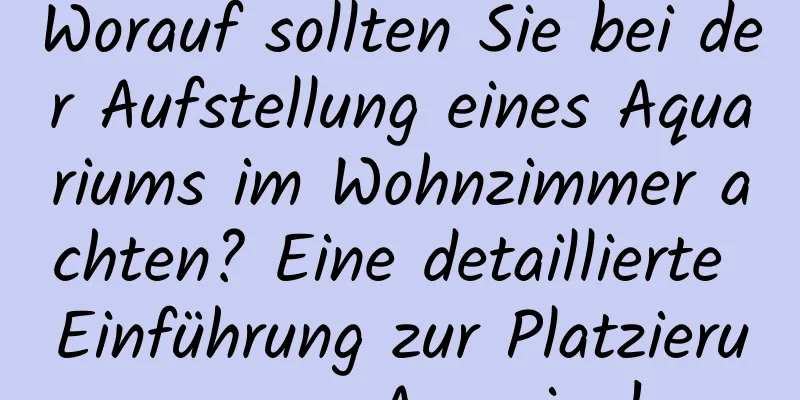 Worauf sollten Sie bei der Aufstellung eines Aquariums im Wohnzimmer achten? Eine detaillierte Einführung zur Platzierung von Aquarien!