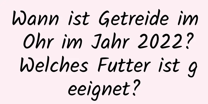 Wann ist Getreide im Ohr im Jahr 2022? Welches Futter ist geeignet?