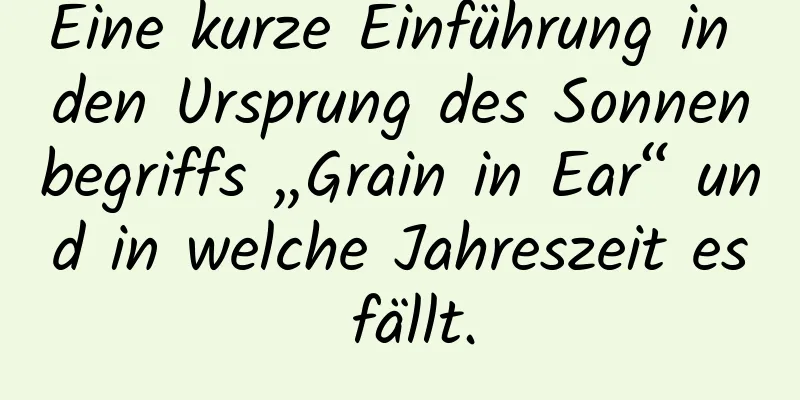 Eine kurze Einführung in den Ursprung des Sonnenbegriffs „Grain in Ear“ und in welche Jahreszeit es fällt.