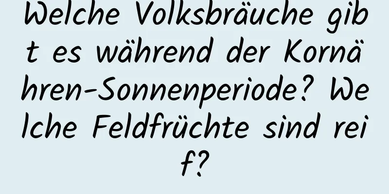 Welche Volksbräuche gibt es während der Kornähren-Sonnenperiode? Welche Feldfrüchte sind reif?