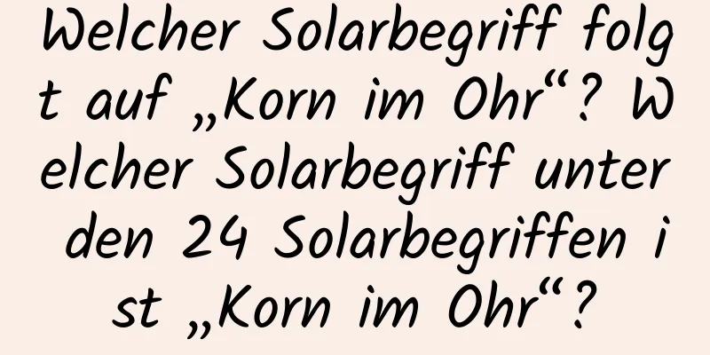 Welcher Solarbegriff folgt auf „Korn im Ohr“? Welcher Solarbegriff unter den 24 Solarbegriffen ist „Korn im Ohr“?