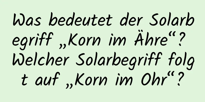 Was bedeutet der Solarbegriff „Korn im Ähre“? Welcher Solarbegriff folgt auf „Korn im Ohr“?