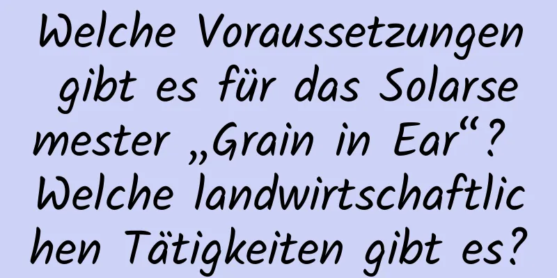 Welche Voraussetzungen gibt es für das Solarsemester „Grain in Ear“? Welche landwirtschaftlichen Tätigkeiten gibt es?