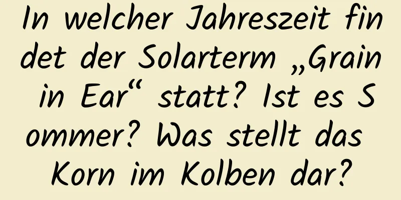 In welcher Jahreszeit findet der Solarterm „Grain in Ear“ statt? Ist es Sommer? Was stellt das Korn im Kolben dar?