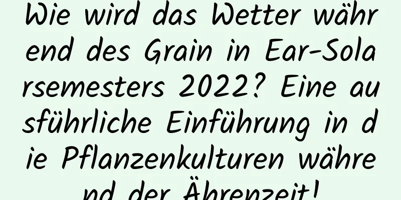 Wie wird das Wetter während des Grain in Ear-Solarsemesters 2022? Eine ausführliche Einführung in die Pflanzenkulturen während der Ährenzeit!