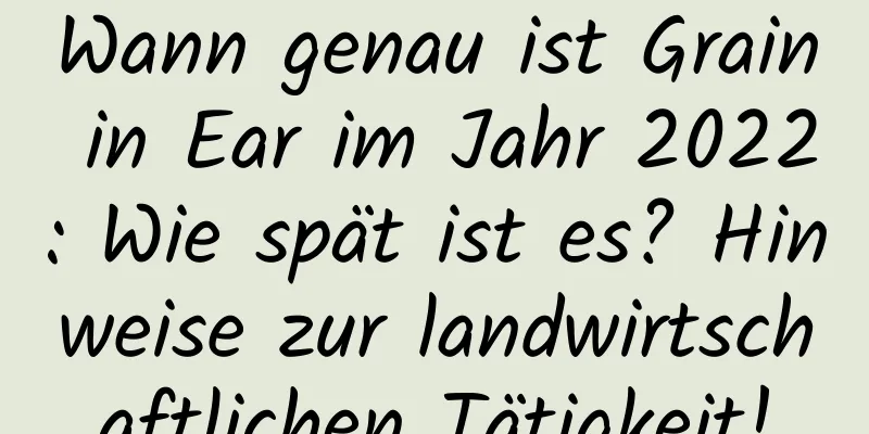 Wann genau ist Grain in Ear im Jahr 2022: Wie spät ist es? Hinweise zur landwirtschaftlichen Tätigkeit!