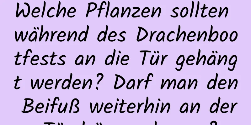 Welche Pflanzen sollten während des Drachenbootfests an die Tür gehängt werden? Darf man den Beifuß weiterhin an der Tür hängen lassen?