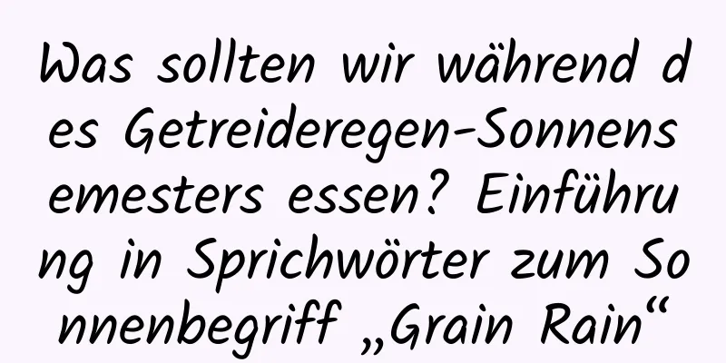 Was sollten wir während des Getreideregen-Sonnensemesters essen? Einführung in Sprichwörter zum Sonnenbegriff „Grain Rain“