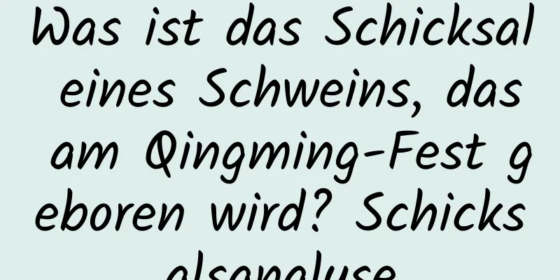 Was ist das Schicksal eines Schweins, das am Qingming-Fest geboren wird? Schicksalsanalyse