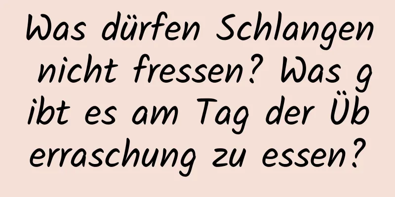 Was dürfen Schlangen nicht fressen? Was gibt es am Tag der Überraschung zu essen?