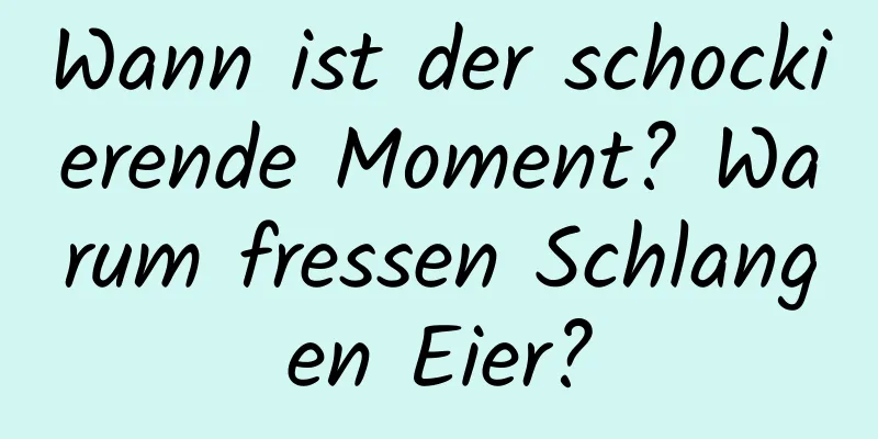 Wann ist der schockierende Moment? Warum fressen Schlangen Eier?