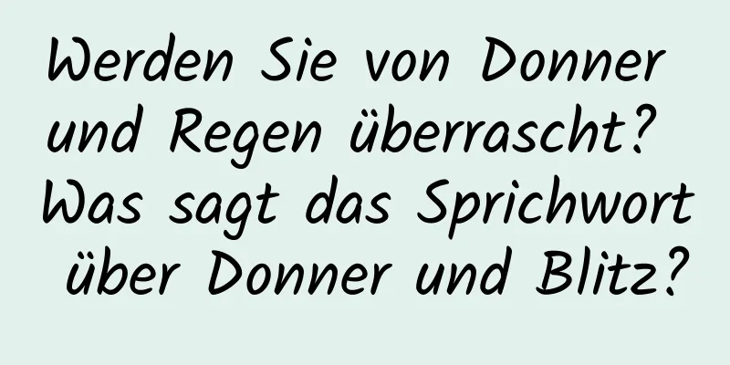 Werden Sie von Donner und Regen überrascht? Was sagt das Sprichwort über Donner und Blitz?