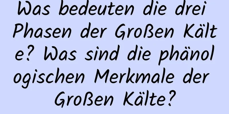 Was bedeuten die drei Phasen der Großen Kälte? Was sind die phänologischen Merkmale der Großen Kälte?