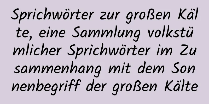 Sprichwörter zur großen Kälte, eine Sammlung volkstümlicher Sprichwörter im Zusammenhang mit dem Sonnenbegriff der großen Kälte