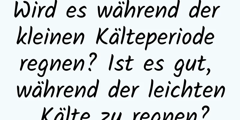 Wird es während der kleinen Kälteperiode regnen? Ist es gut, während der leichten Kälte zu regnen?