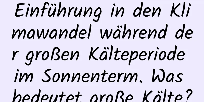 Einführung in den Klimawandel während der großen Kälteperiode im Sonnenterm. Was bedeutet große Kälte?