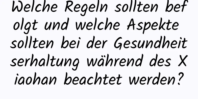 Welche Regeln sollten befolgt und welche Aspekte sollten bei der Gesundheitserhaltung während des Xiaohan beachtet werden?