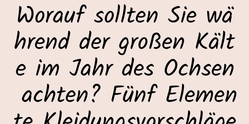 Worauf sollten Sie während der großen Kälte im Jahr des Ochsen achten? Fünf Elemente Kleidungsvorschläge