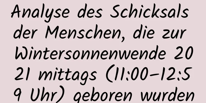 Analyse des Schicksals der Menschen, die zur Wintersonnenwende 2021 mittags (11:00–12:59 Uhr) geboren wurden