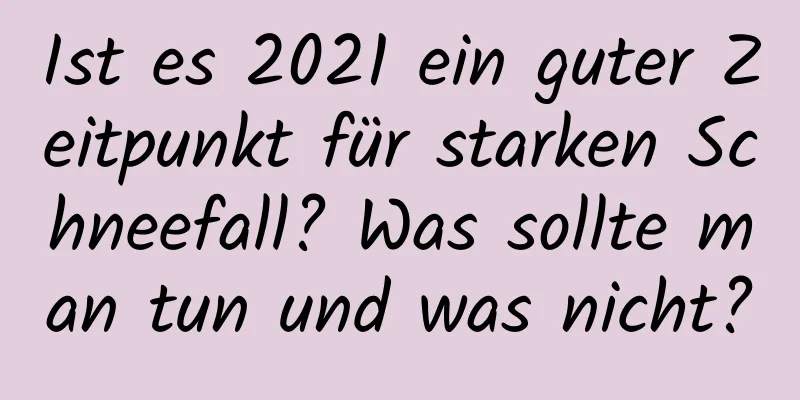 Ist es 2021 ein guter Zeitpunkt für starken Schneefall? Was sollte man tun und was nicht?