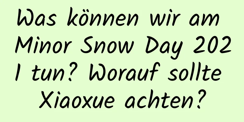 Was können wir am Minor Snow Day 2021 tun? Worauf sollte Xiaoxue achten?