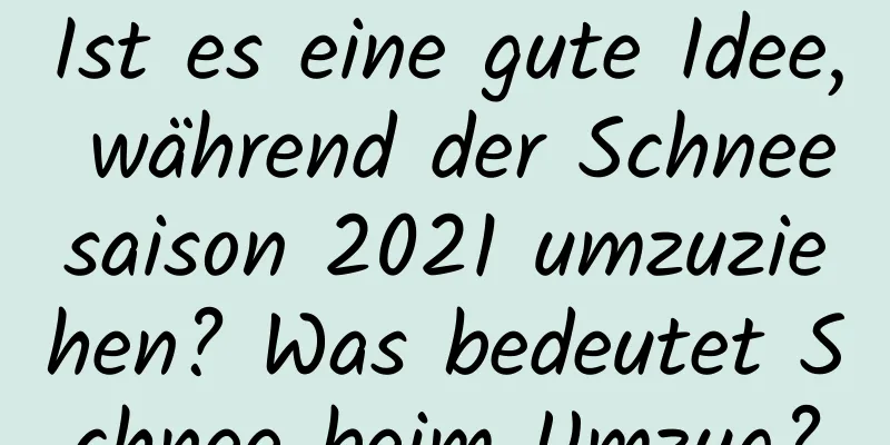 Ist es eine gute Idee, während der Schneesaison 2021 umzuziehen? Was bedeutet Schnee beim Umzug?