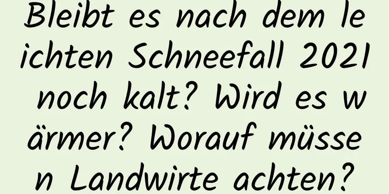 Bleibt es nach dem leichten Schneefall 2021 noch kalt? Wird es wärmer? Worauf müssen Landwirte achten?