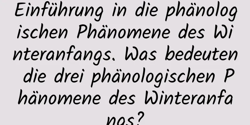 Einführung in die phänologischen Phänomene des Winteranfangs. Was bedeuten die drei phänologischen Phänomene des Winteranfangs?