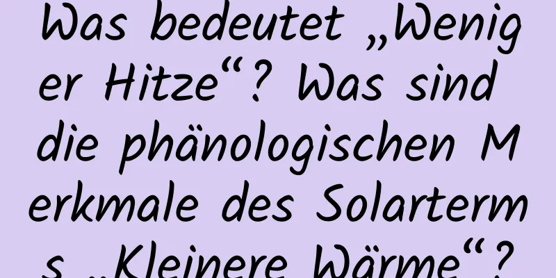 Was bedeutet „Weniger Hitze“? Was sind die phänologischen Merkmale des Solarterms „Kleinere Wärme“?